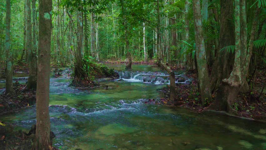 The green nature of the tropical forest has clear blue water. Krabi Emerald Pool Krabi Province, Thailand
