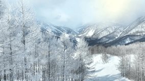 aerial wintertime landscape of hoarfrost in snowy forest on a ski slope in Hakuba valley, Japan, scenic fairytale winter woods in the Japanese mountains. High quality 4k footage