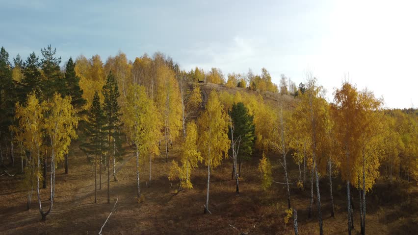 Drone lifting from the lowland to the top of the hill next to the autumn trees. Colorful autumn nature in 4K.