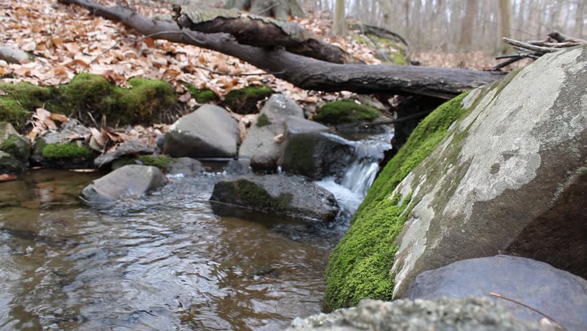 The sound of a flowing brook in Chester County Pennsylvania