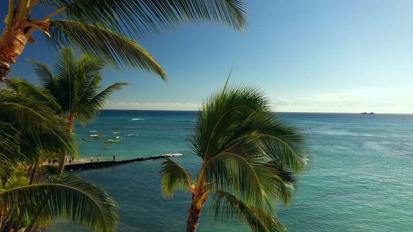 Aerial Forward Shot Of Palm Trees By Sea With Horizon Against Cloudy Sky - Oahu, Hawaii