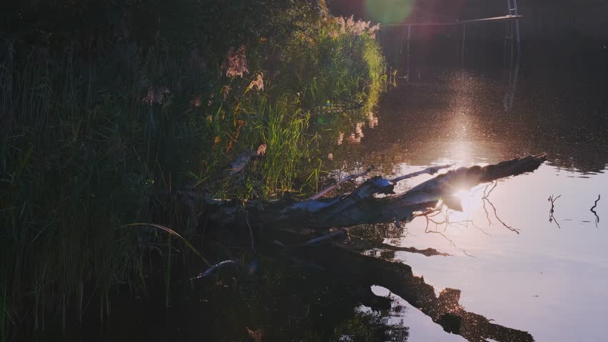 Beautiful sunset over lake with wooden pier.