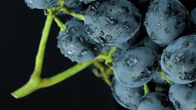VERTICAL VIDEO, Close-up of dark grapes with drops of water on black background. Camera moves sideway to the right side