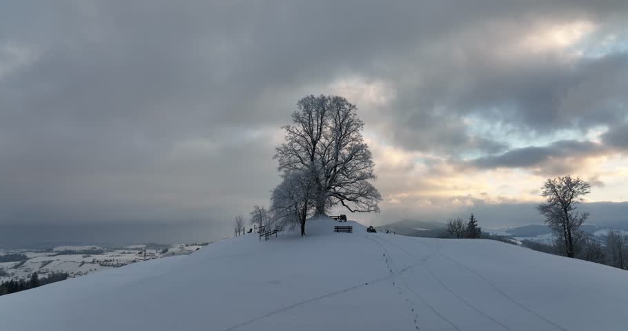 Aerial arc shot of hilltop tree in dawn snowy nature