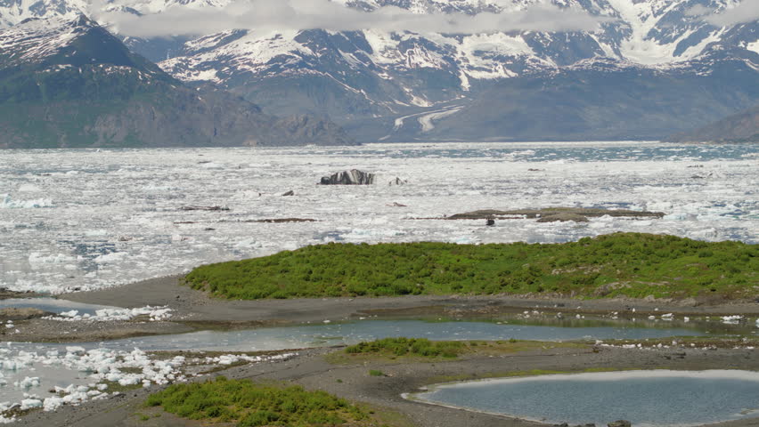 Flock of seagulls and sea kayakers near Columbia Glacier, Alaska