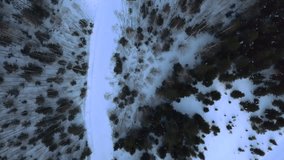  A winter road between trees taken from a drone. Clip. Winter landscapes with a moving man on a snowmobile in a dark forest.