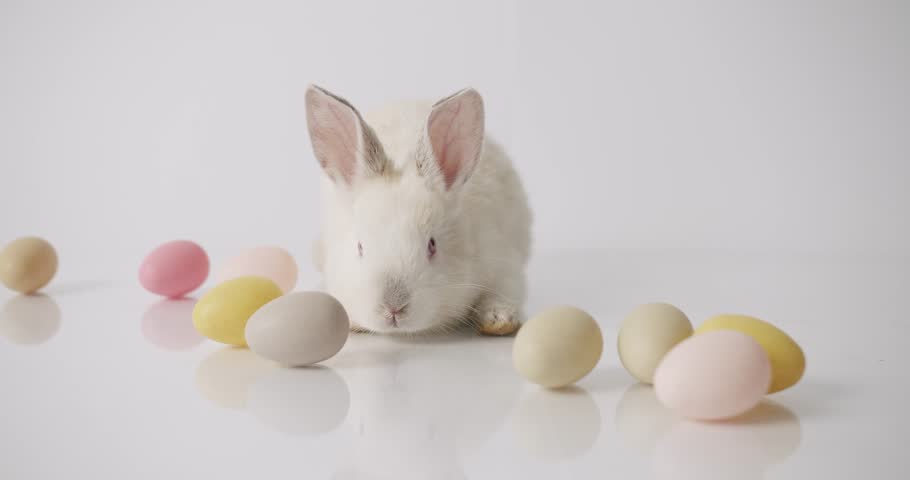 Collage from many footage for Happy Easter Concept. Little Bunnies on isolated Background with many coloured eggs. Happy Easter day. Celebration Easter. Easter eggs.  Royalty-Free Stock Footage #1099325895