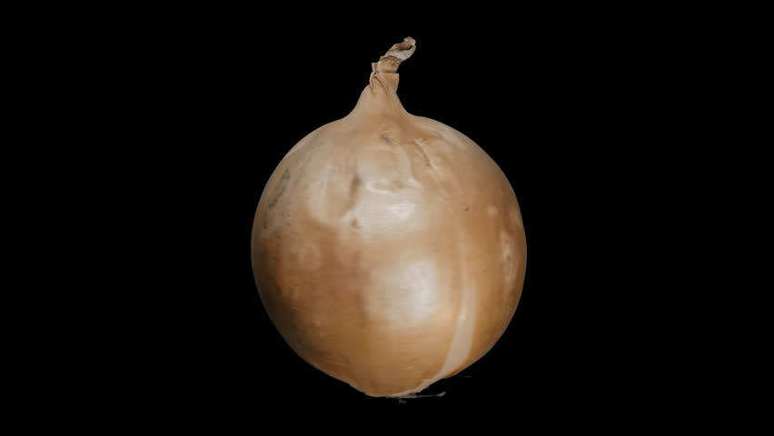 Onion rotating.  isolated on black, for compositing projects - alpha channel included.
