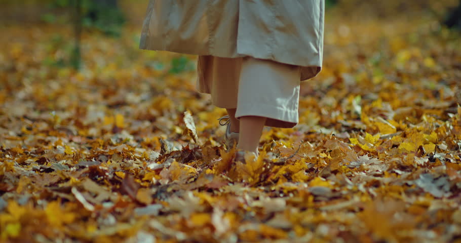 walk in beautiful forest in autumn day, closeup of female feet stepping on dried foliage, 4K, Prores Royalty-Free Stock Footage #1099331775