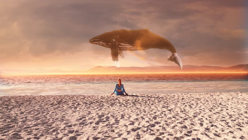 In this video, we see a woman sitting on a sandy beach with an amazing view of the sea at sunset. huge whale in the sky, it's looks like a magic concept.  Royalty-Free Stock Footage #1099337083