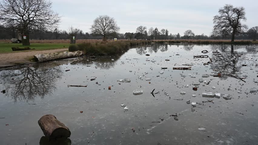 Thin ice formed overnight on local pond in Surrey England
