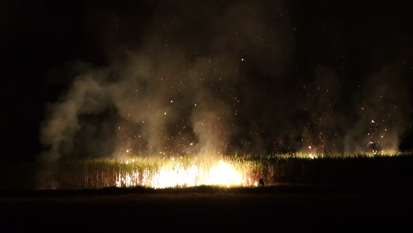 Farmers set fire to the sugar cane fields for faster harvesting. In Mahasarakham Province, Thailand, burning is often done at night for better control of the fire. But burning causes pollution and PM 