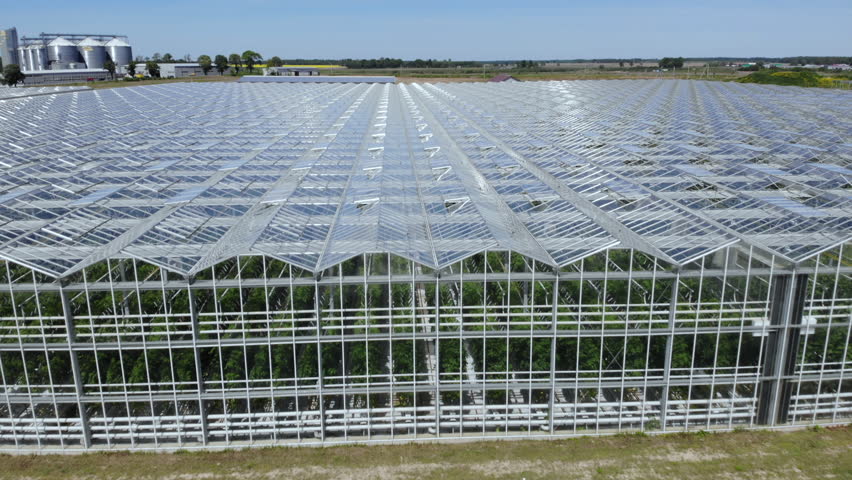 Modern High-tech Greenhouse View From Above. Aerial View Large Industrial Technology Greenhouses. Aerial View Flying Over Large Greenhouse With Vegetables, Greenhouse With Transparent Glass Roof. Royalty-Free Stock Footage #1099390327