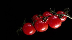 Vertical Video, Red Cherry Tomatoes Rotate on a Black Background. Juicy Vegetables in Water Drops. Vegetarian Concept. Slow Motion.