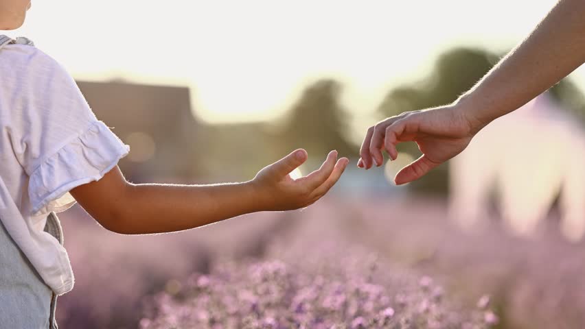 Happy family day. Mom holds her child daughter by hand in lavender field on summer day. Family outdoors in nature on sunset. Motherhood, childhood and care concept. Mothers day. Sun rays Royalty-Free Stock Footage #1099404059