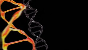 Seamless loop, 3d Animation. destruction of DNA cells. Slow motion, close-up. - Powered by Shutterstock - Get 15% off with code: PIKWIZARD15