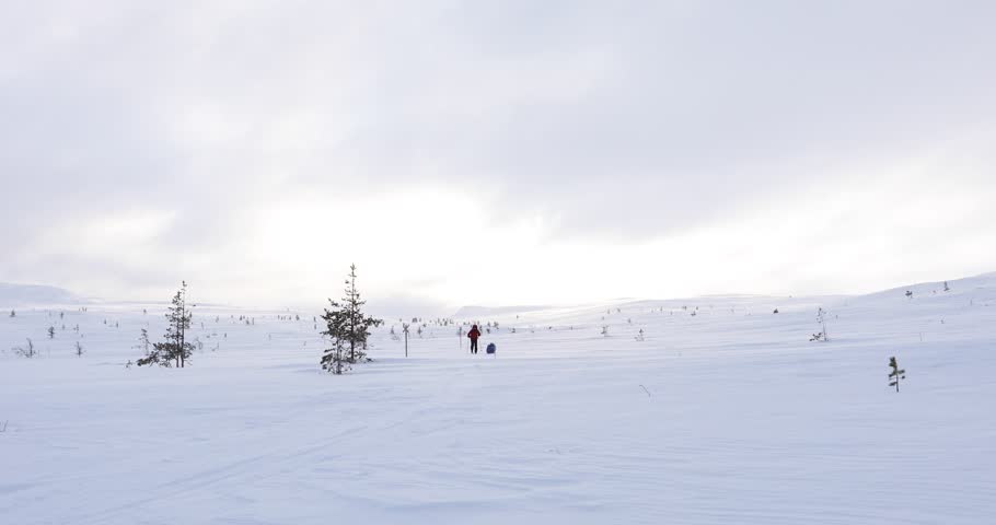 Ski expedition in Pallas Yllastunturi National Park , Lapland, Finland
