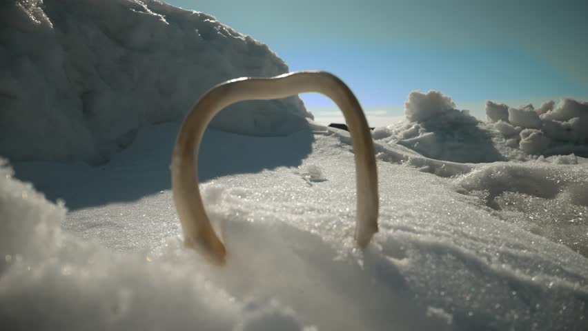Beautiful winter landscape with mountains, macro photography. Winter snowy landscape.