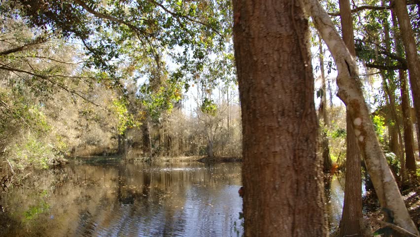 Wooden gazebo overlooking the fishing pond.