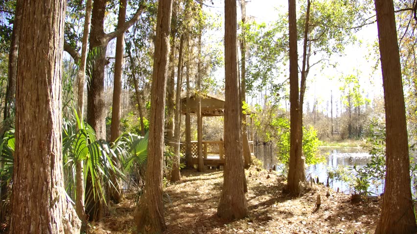 Wooden gazebo overlooking the fishing pond.