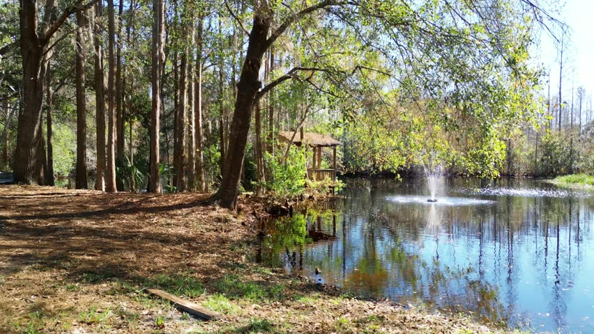 Wooden gazebo overlooking the fishing pond.