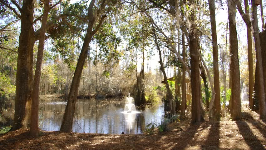 Wooden gazebo overlooking the fishing pond.