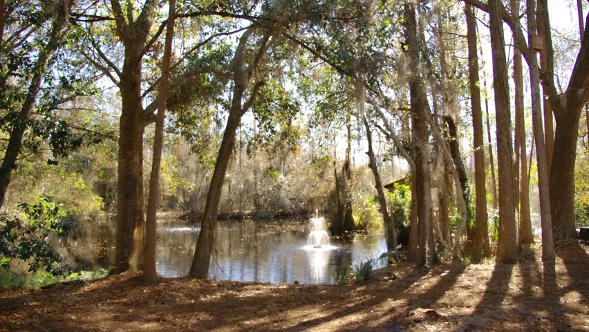 Wooden gazebo overlooking the fishing pond.