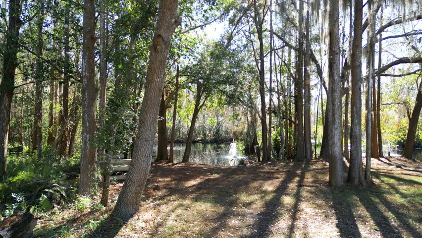 Wooden gazebo overlooking the fishing pond.