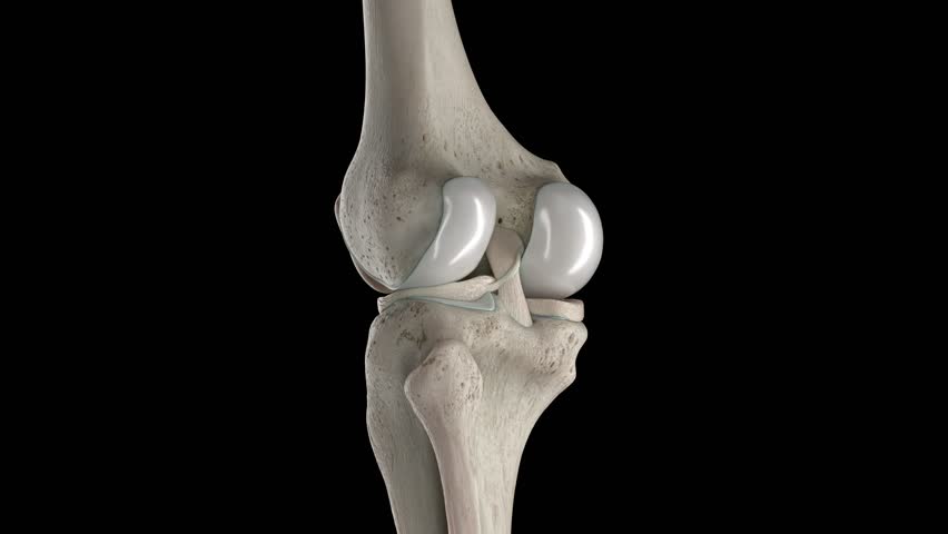 3D rendered medical animation of human anatomy - damaged knee cartilage. plain black background. professional studio lighting. rotation | Shutterstock HD Video #1099464155