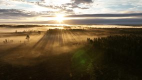 Scenic drone video of very foggy sunrise over forest, landscape in North Sweden, golden sun light beams and shadows. Beautiful nature, Vasterbotten, northern Sweden, Umea. Forward fly, lens flare