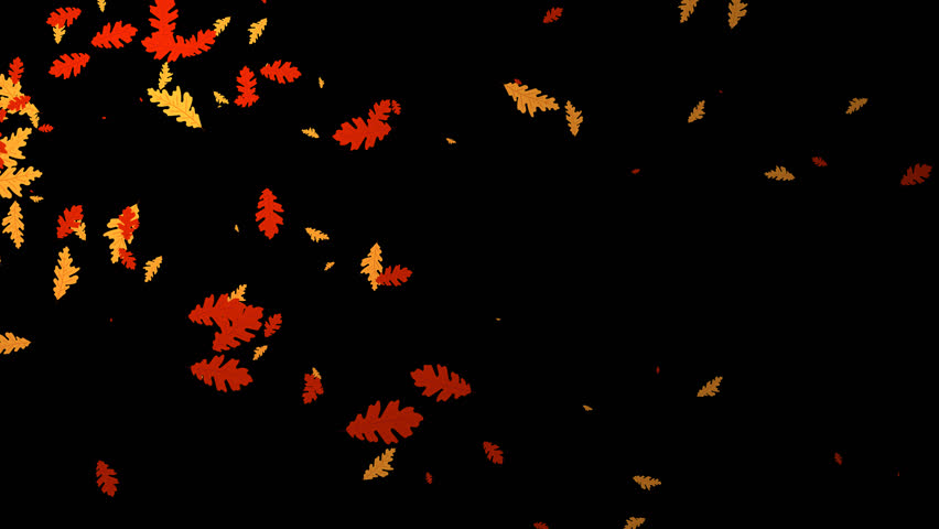 Multi color leaf falling animation with transparent background | Shutterstock HD Video #1099467693