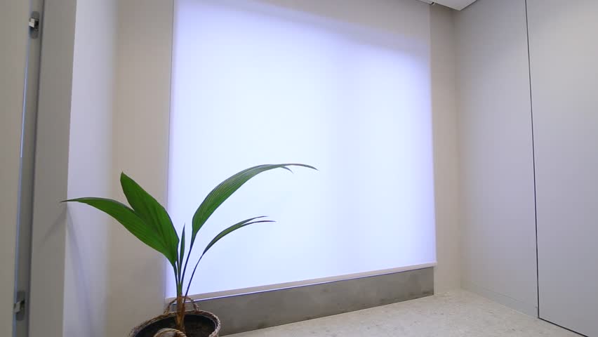 Motorized roller blinds in the interior. Automatic solar shades white color on full height window. A houseplant is near motor curtain. Royalty-Free Stock Footage #1099473885