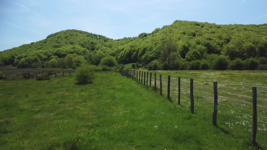 The field in spring. Fences for cattle, beech forests, pastures