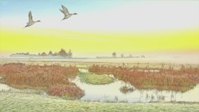 World wetlands day animation video with text and book cover