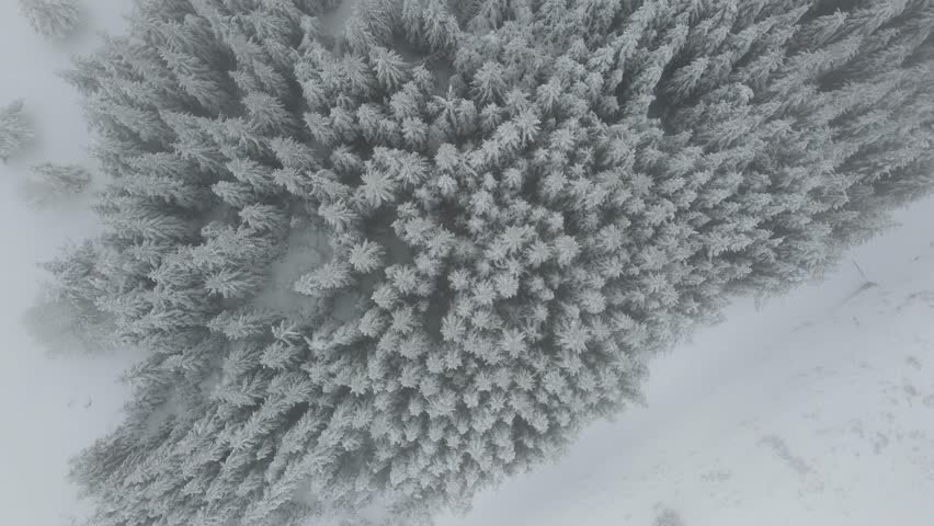 Amazing Aerial winter view of Rila mountain near Belmeken Dam, Bulgaria | Shutterstock HD Video #1099505749