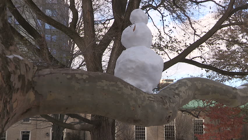 Toronto, Ontario, Canada January 2014 Snowman sitting in a tree on university campus on cold winter day
