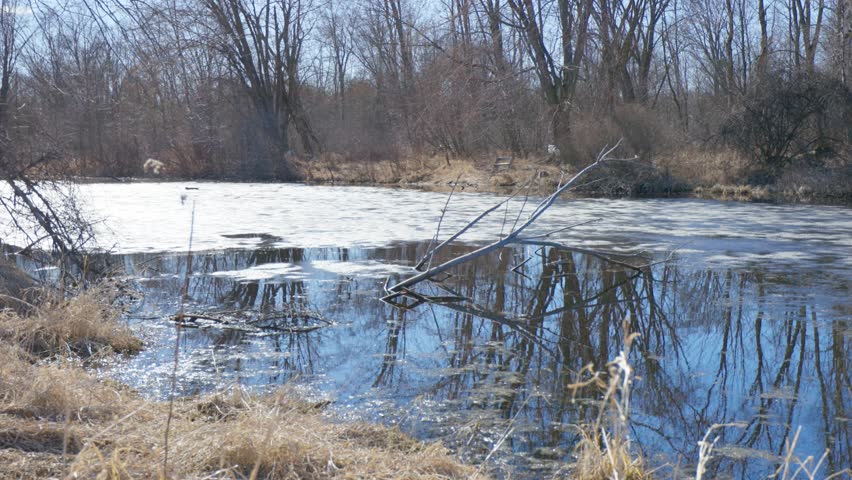 Frozen Stream in Menasha, Wisconsin
