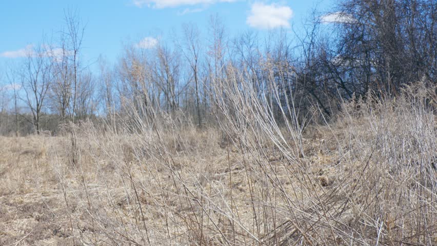 High Grass 2 in Menasha, Wisconsin