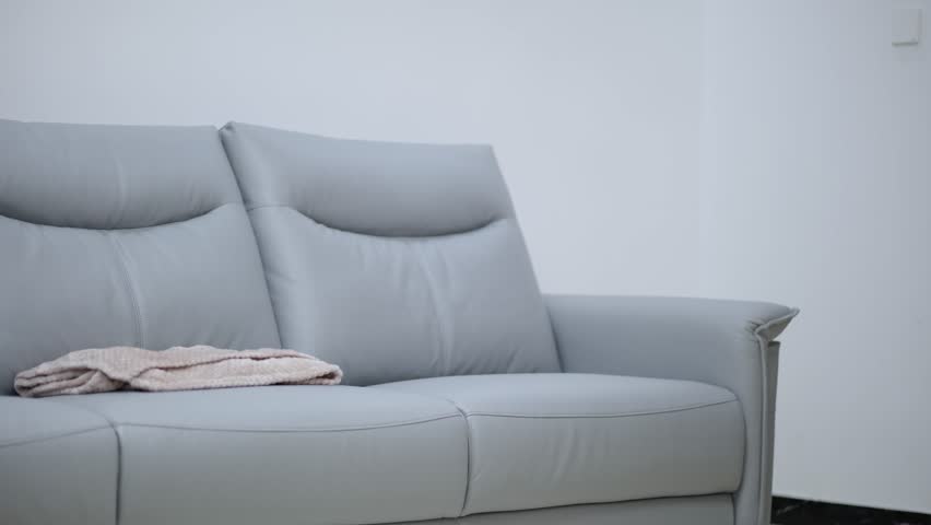 A light green sofa in the room | Shutterstock HD Video #1099537775