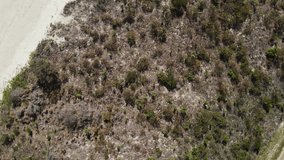 Artistic falling drone view spinning above a deserted island vegetation.