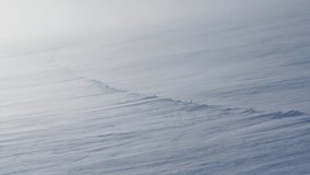 blizzard in winter, heavy snow and high winds. Arctic weather and climate. snow blown by winds. minimalistic winter background, aesthetics. Climate change: arctic warming linked to colder winters - Powered by Shutterstock - Get 15% off with code: PIKWIZARD15