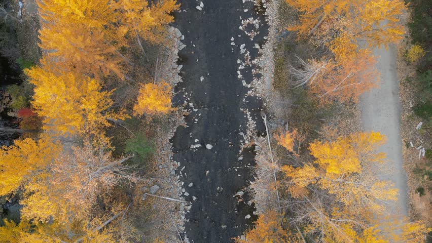 Top-down aerial view of a flowing creek in the fall.  Moving water with detailed rocks, colorful leaves, shoreline, gravel hiking paths.