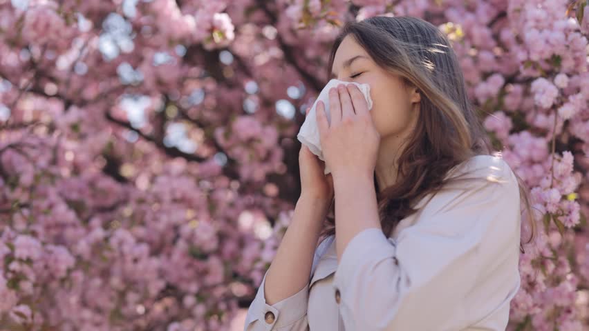 Sick caucasian woman using white napkins during runny nose outdoors. Side view of brunette standing near blooming sakura tree and suffering from seasonal allergy. | Shutterstock HD Video #1099570225