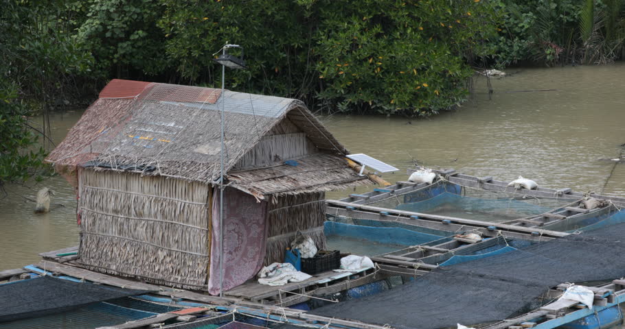 Fish farming in Thailand in the river near by the sea with the traditional floating house with Thai style.