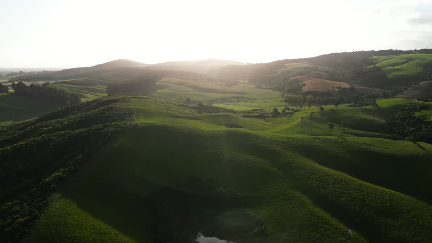 Large vast open grass fields between the mountains in Southland, New Zealand. Aerial dolly view of grassy valley surrounded by hills Dunsdale area of southland new Zealand Sheep field