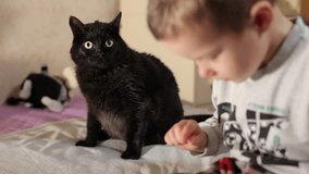 Little Boy Playing With Pet Cat On Bed In Room. Baby Plays Mobile Games on Smartphone and Has Fun with Cat