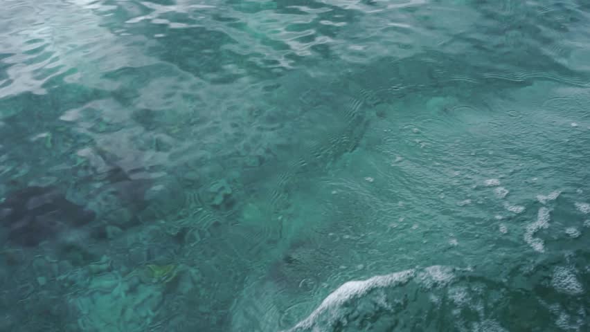 Beautiful sea waves and greenish and clean | Shutterstock HD Video #1099579301