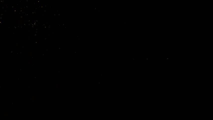 Shutterstock Video