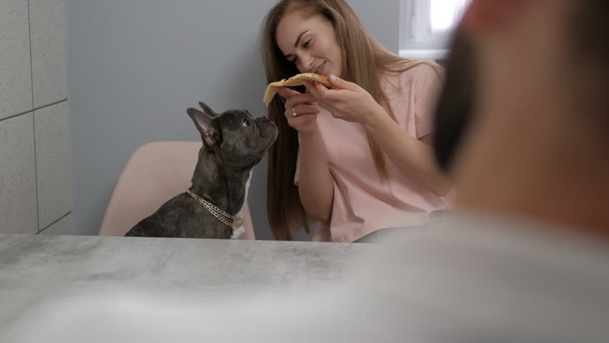 Young Woman Feeding Her Pet with Pizza, Small French Bulldog Eating Human Food | Shutterstock HD Video #1099596451