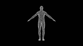 3D man body model consisting of particles and dots rotates its axis 60 FPS. Science concept, object made of molecules. Tutorial Video. Abstract bg for logo, title, concept, presentation. 3D animation